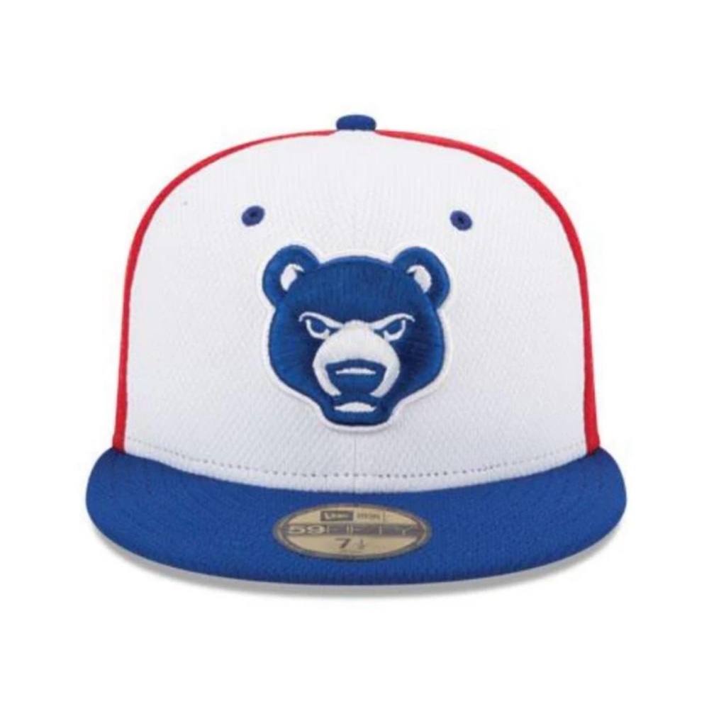 South Bend Cubs Hat NWT